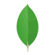 MongoDB
